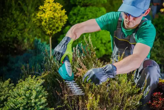 landscaping services Weatherby Lake
